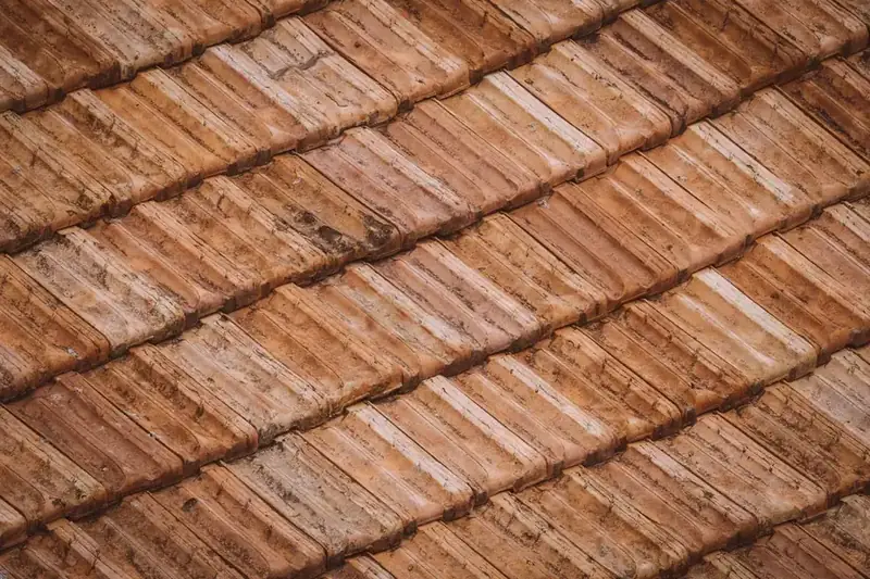 Close-up of clay roof tiles baking under direct summer sunlight
