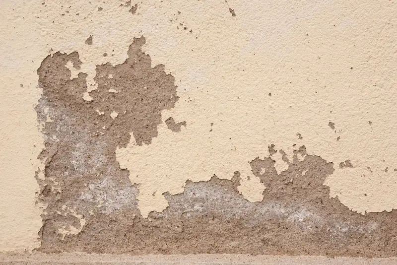 Damp-stained, flaking plaster on an internal wall where a leak has tracked across from the neighbouring roof