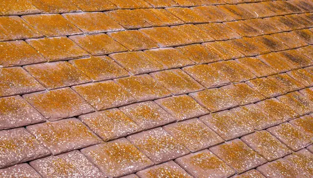 Close view of orange clay roof tiles patched with yellow lichen after years of weathering