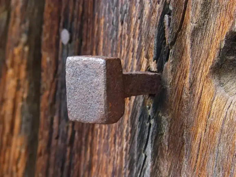 Square-headed old iron nail, rusted, driven into a weathered timber board