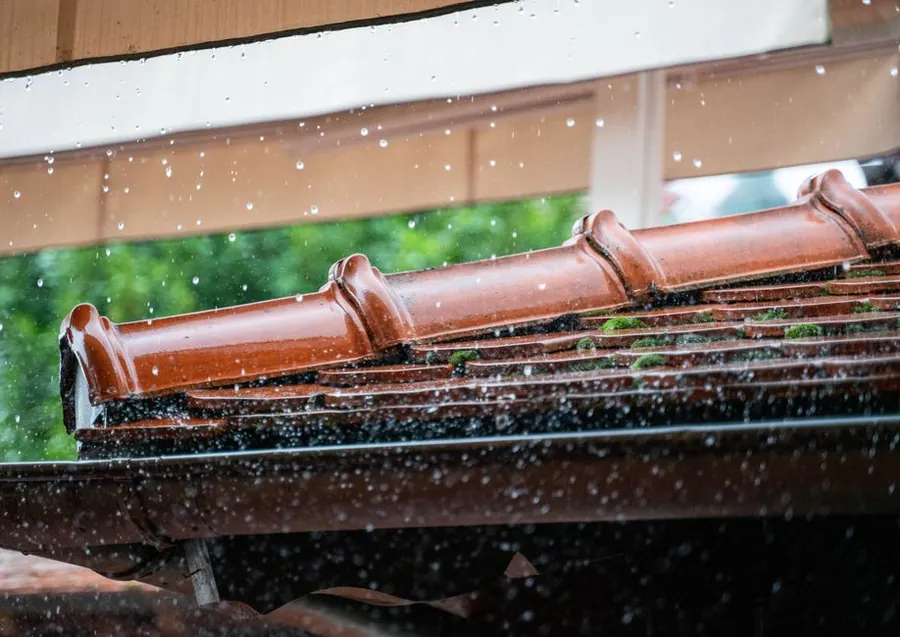 Rainwater overflowing a leaf-filled gutter on a house in Croydon