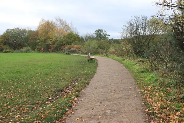 Footpath across mown grass and trees in a suburban park in autumn